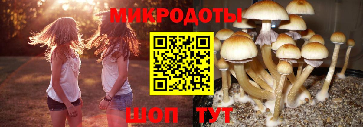 Псилоцибиновые грибы ЛСД  где продают   Родники  Вход с VPN 